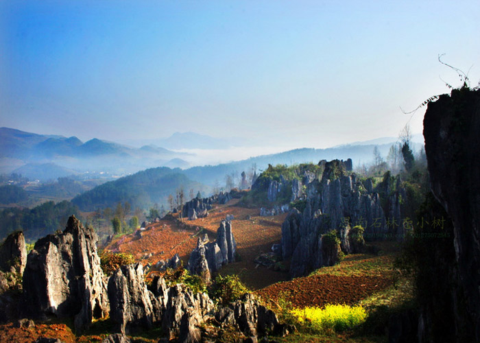 王志纲为思南全域旅游发展把脉